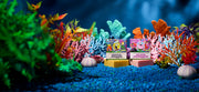 SpongeBob 4-Pack - Smart Hydration-Kit