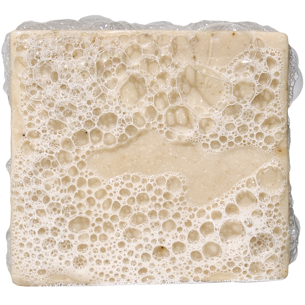 Birchwood Breeze Mini - Journey Fresh-Lather