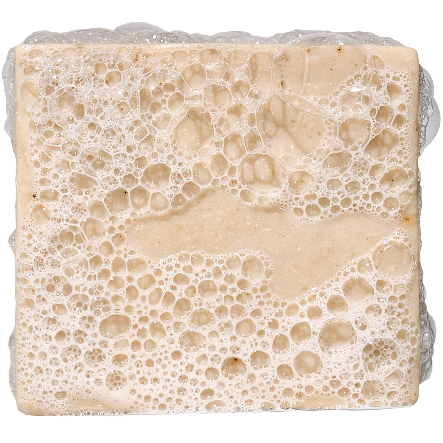 Birchwood Breeze Mini - Journey Fresh-Lather