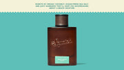 Castaway Cove Cologne - Travel Beard-Care