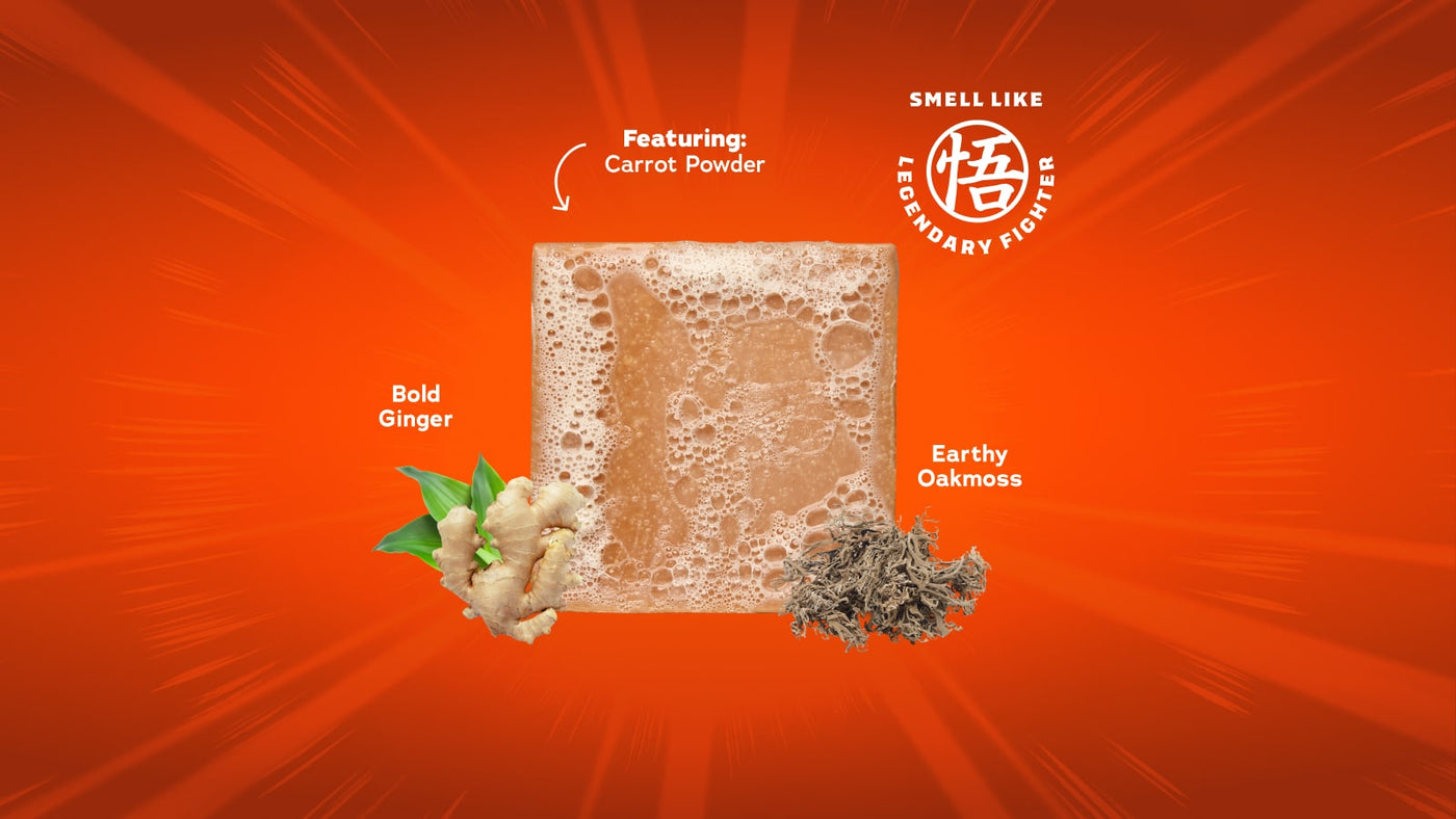 Dragon Ball Z 4-Pack - Ready Easy-Start