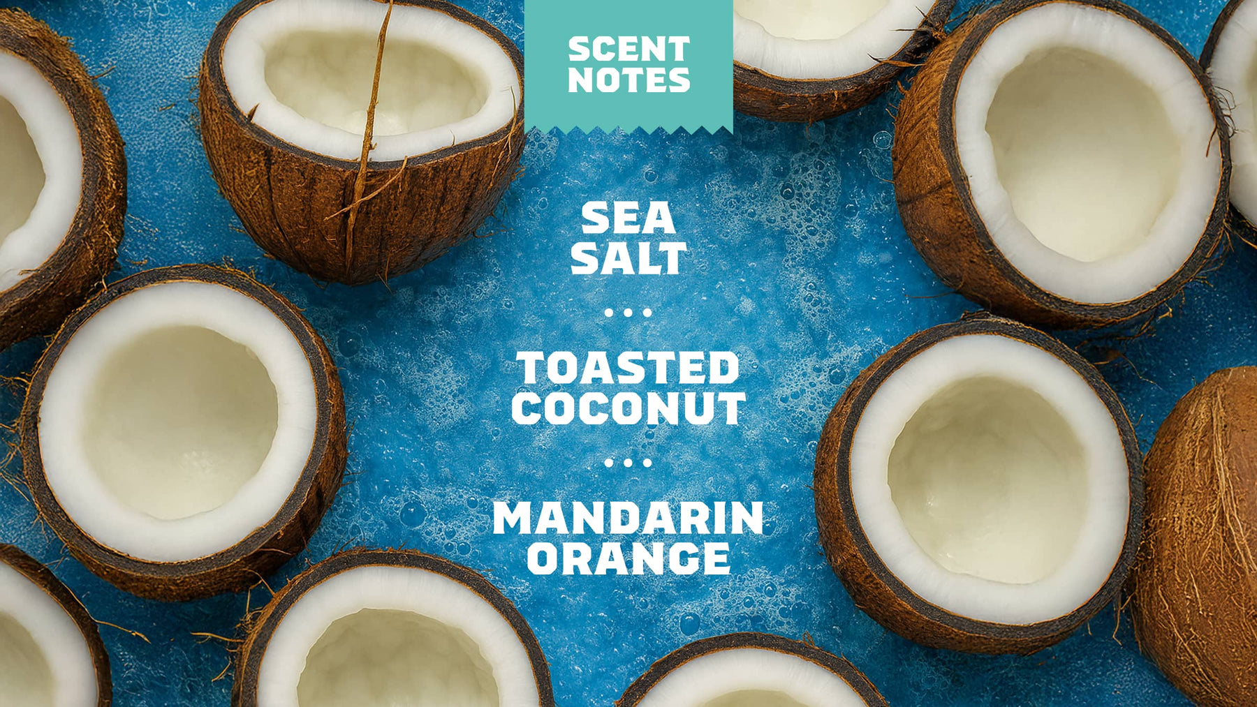 Coconut Castaway Lotion - Favorite Mountain-Fresh