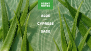 Cool Fresh Aloe Conditioner - Fresh Daily-Care