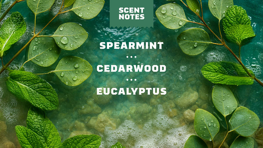 Rainforest Rapids Refreshing Face Wash - Comfort Daily-Grooming