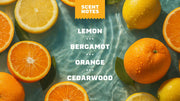 Summer Citrus Hand Soap - Chilled Comfort-Care