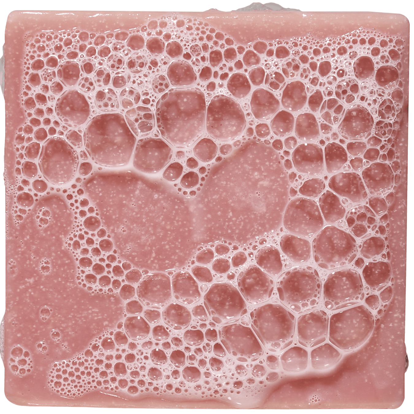 Sea Star Shenanigans - Outdoor Soap-Ritual