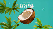 Coconut Castaway Lotion - Favorite Mountain-Fresh