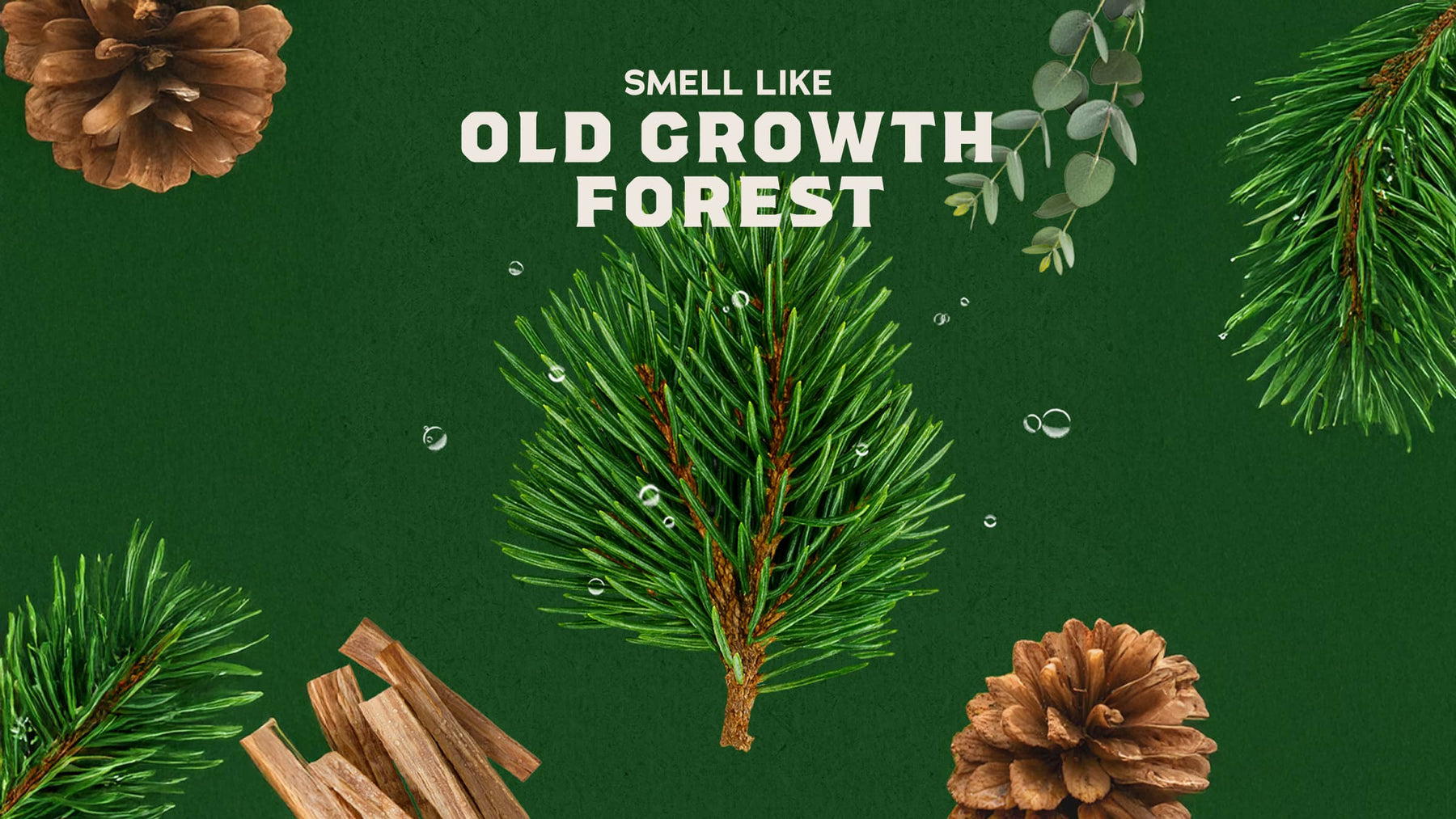 Woodland Pine Cologne - Durable Suds-Care