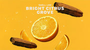 Summer Citrus Hand Soap - Chilled Comfort-Care