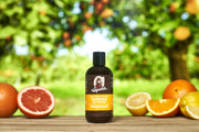 Summer Citrus Shampoo - Patio Trail-Ready