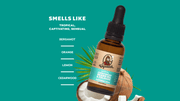 Beard Oil 3-Pack - Daily Daily-Kit